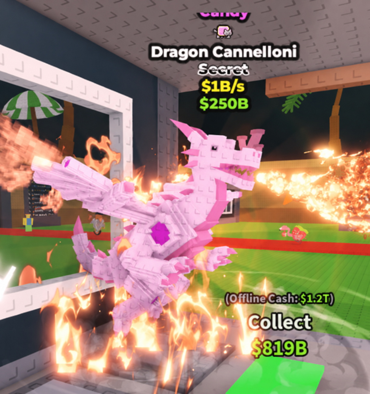 1B/s CANDY DRAGON CANNELLONI (no taco)